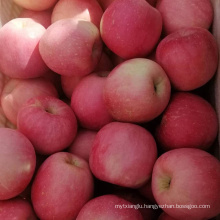 Fresh Apple Fruit For Sale Fresh Fuji Apples Fesh Yantai Fuji Apple